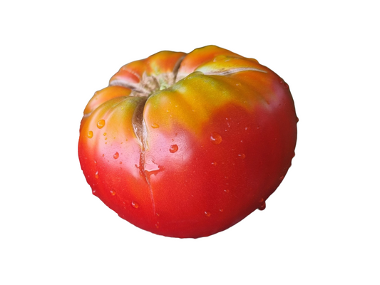 Răsad tomate autohtone Mari Banca de Semințe, soi, semitimpuriu, creștere nedeterminată, culoare roșu