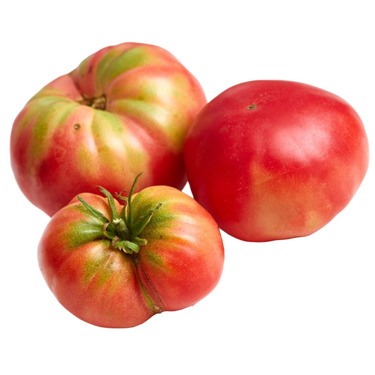 Răsad tomate autohtone Banca de Semințe Suceava, soi, semitimpuriu, creștere nedeterminată, culoare roșu